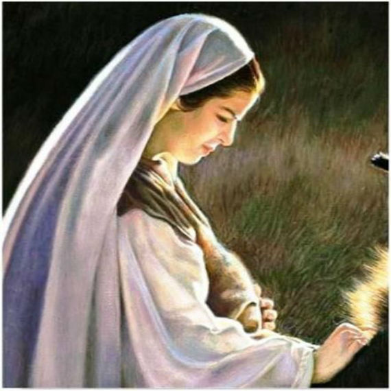 Hoy en todos los hogares nacerá el divino niño Dios Feliz Navidad