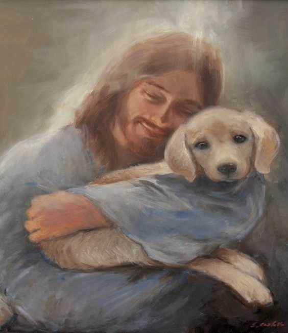 Oración sanación perro enfermo mascota preferida