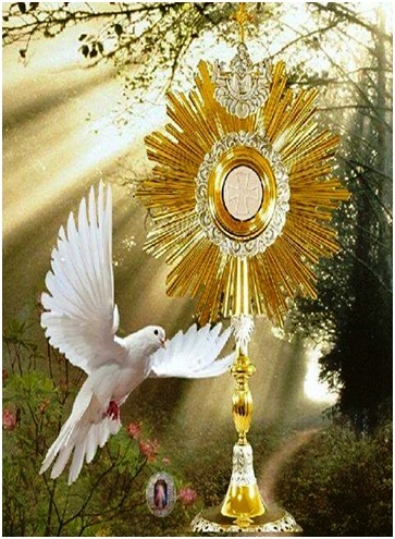 Novena al Espíritu Santo para pedir favores urgentes muy milagrosa