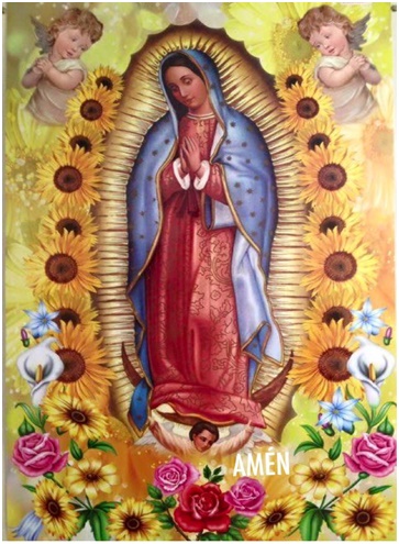 Ramos de Rosas para mi Madre la Virgen de Guadalupe mi Morenita