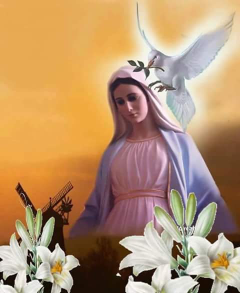 Madre Reina María Virgen en nuestras almas danos la Paz